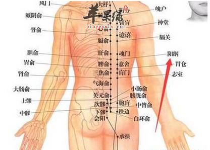 阳纲穴穴位位置图_阳纲穴的功效与作用_疗法及注意事项