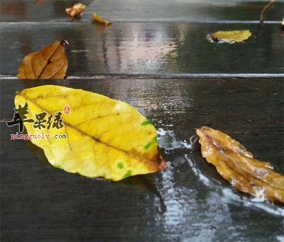 一场秋雨一场寒