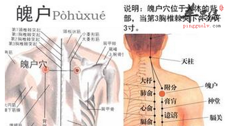 魄户穴穴位位置图_魄户穴的功效与作用_按摩手法