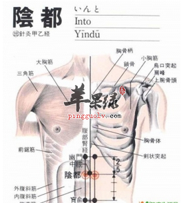 阴都穴穴位位置图_阴都穴的功效与作用_疗法及注意事项