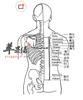 胃仓穴穴位位置图_胃仓穴的功效与作用_按摩手法