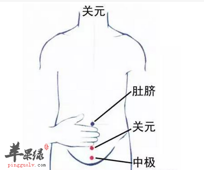 中极穴的位置及图片_中极穴的功效与作用_按摩手法