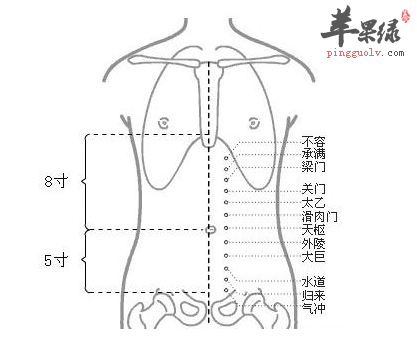 不容穴的位置及图片_不容穴的功效与作用_按摩手法