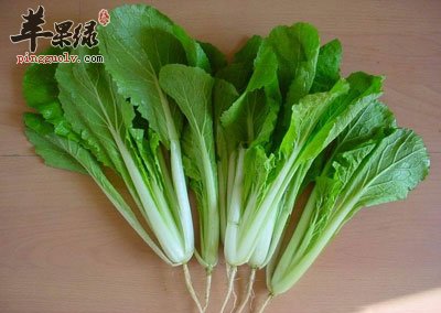 三个小白菜