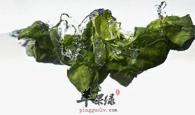 水中的菠菜.jpg