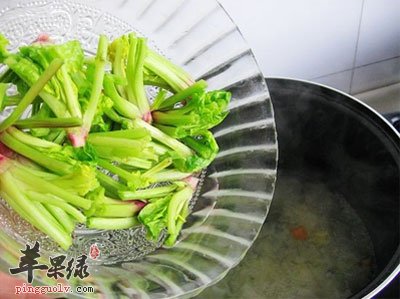 菠菜根.jpg