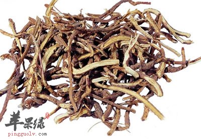 虎杖根茎.jpg