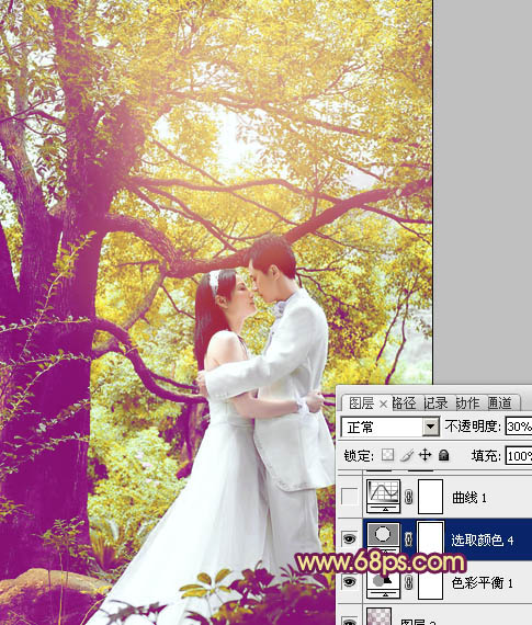 Photoshop将树林婚片增加上柔美的黄紫色效果