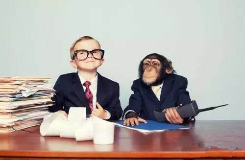 什么样的人适合做会计