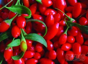 怎么补肾虚_肾虚怎么补 肾虚应该吃什么呢?