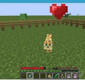 【图】我的世界的豹猫怎么驯服_我的世界怎么