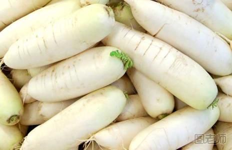 萝不能和什么同食_木菠萝不能和什么一起吃 木