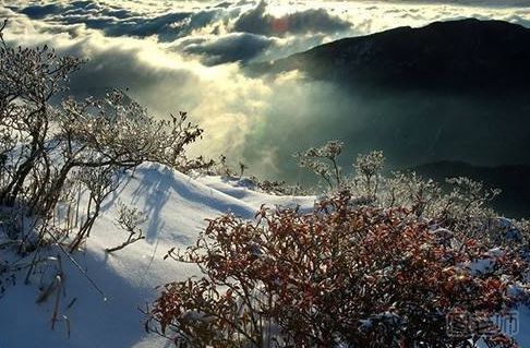 春节去哪里旅游比较好 2017春节旅游攻略