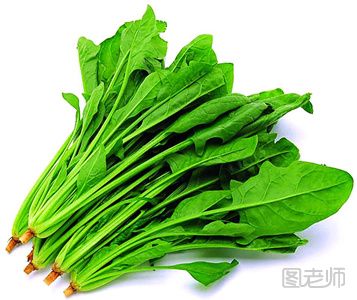 【图】吃哪些食物长高_吃什么可以长高