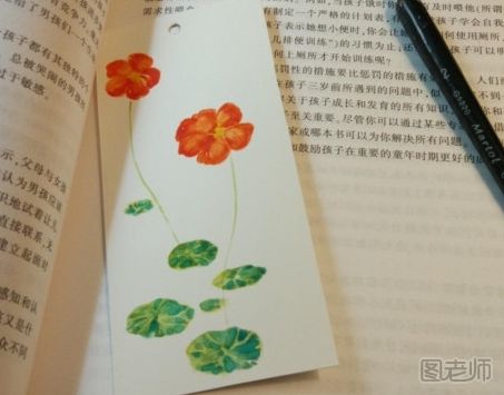 荷花手绘书签图解教程