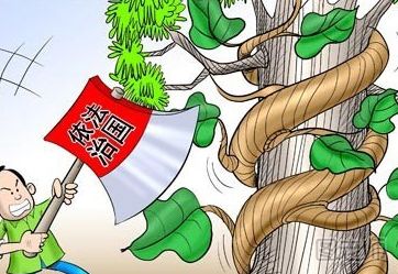 【图】如何发表法律论文?发表法律论文的方法