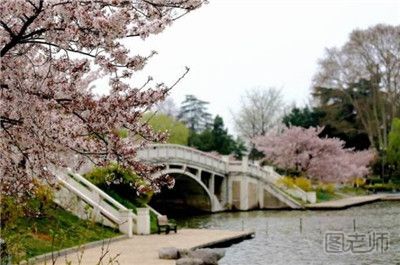 2017春季南京赏花好去处 春季南京赏花攻略