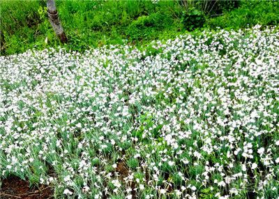 六一儿童节带孩子去哪里玩好 