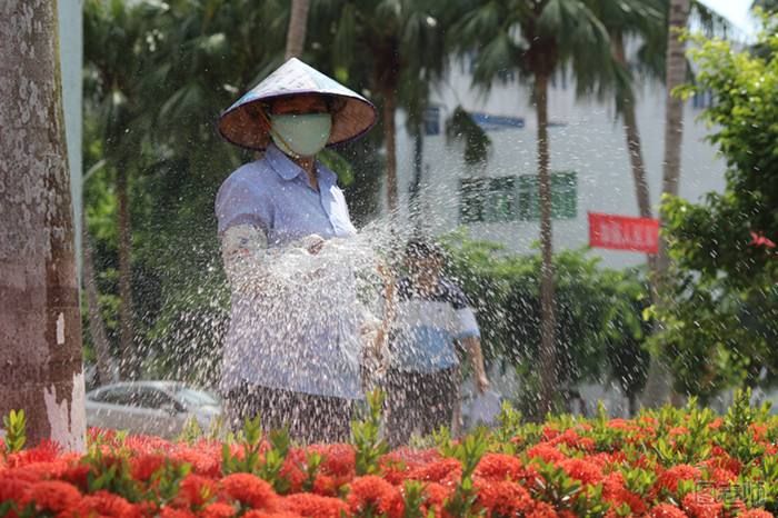 怎么浇花才好 学好这几招