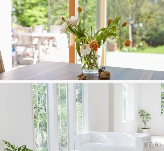 怎么运用绿植来进行装修 怎么运用绿植来进行装修