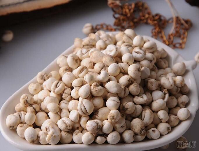 【图】川贝的功效与作用 川贝的使用注意事项