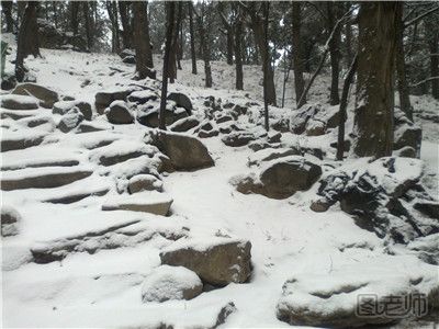 日本高中生参加登山活动遭遇雪崩多人丧生 雪天登山要注意什么