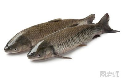 【图】五月吃什么海鲜好 五月吃海鲜要注意什