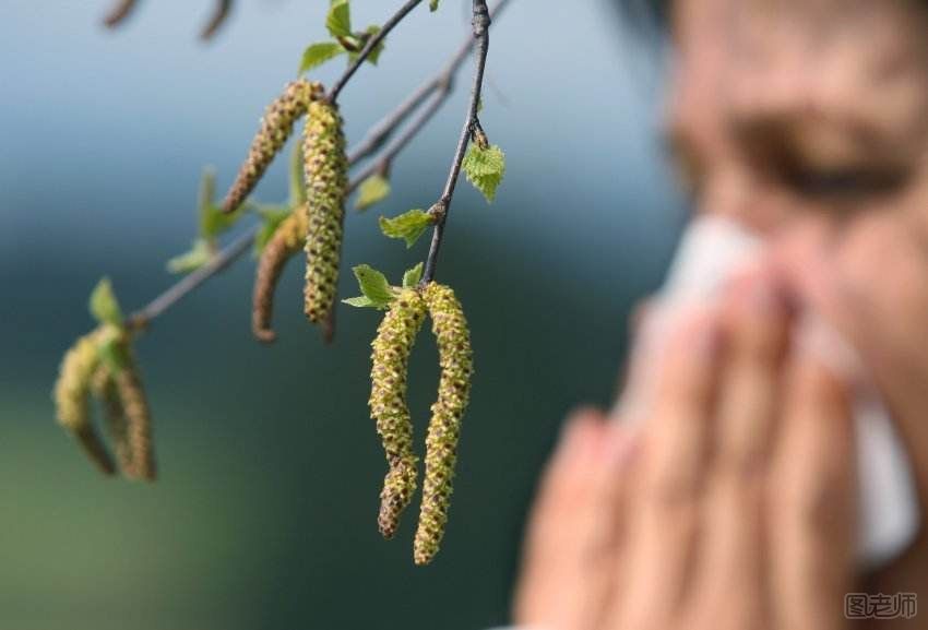 缓解花粉症的方法,如何预防花粉症