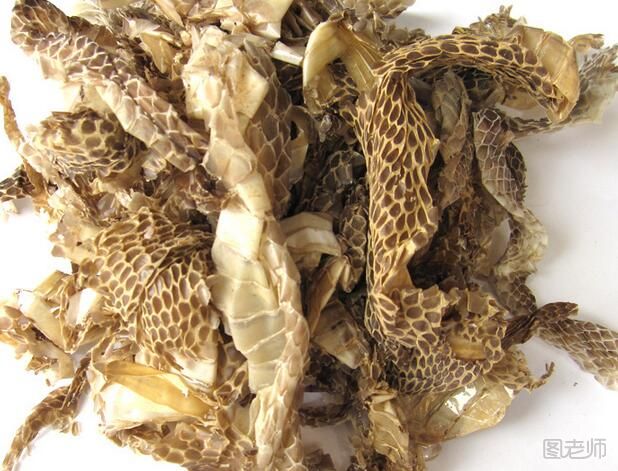 【图】蛇蜕的功效与作用 蛇蜕的食用方法是什