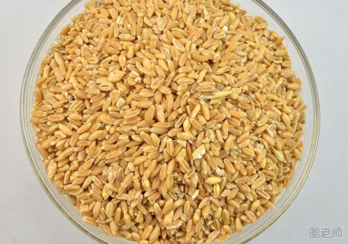 【图】浮小麦的功效与作用 浮小麦的食用方法