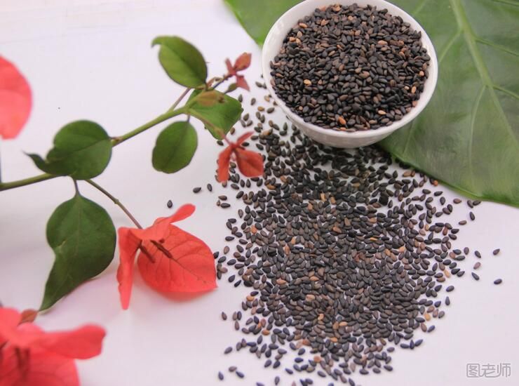 【图】黑芝麻的功效与作用 黑芝麻的药用价值