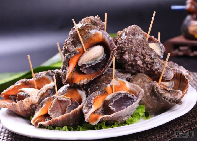 【图】海螺有哪些功效与作用,海螺吃了有什么
