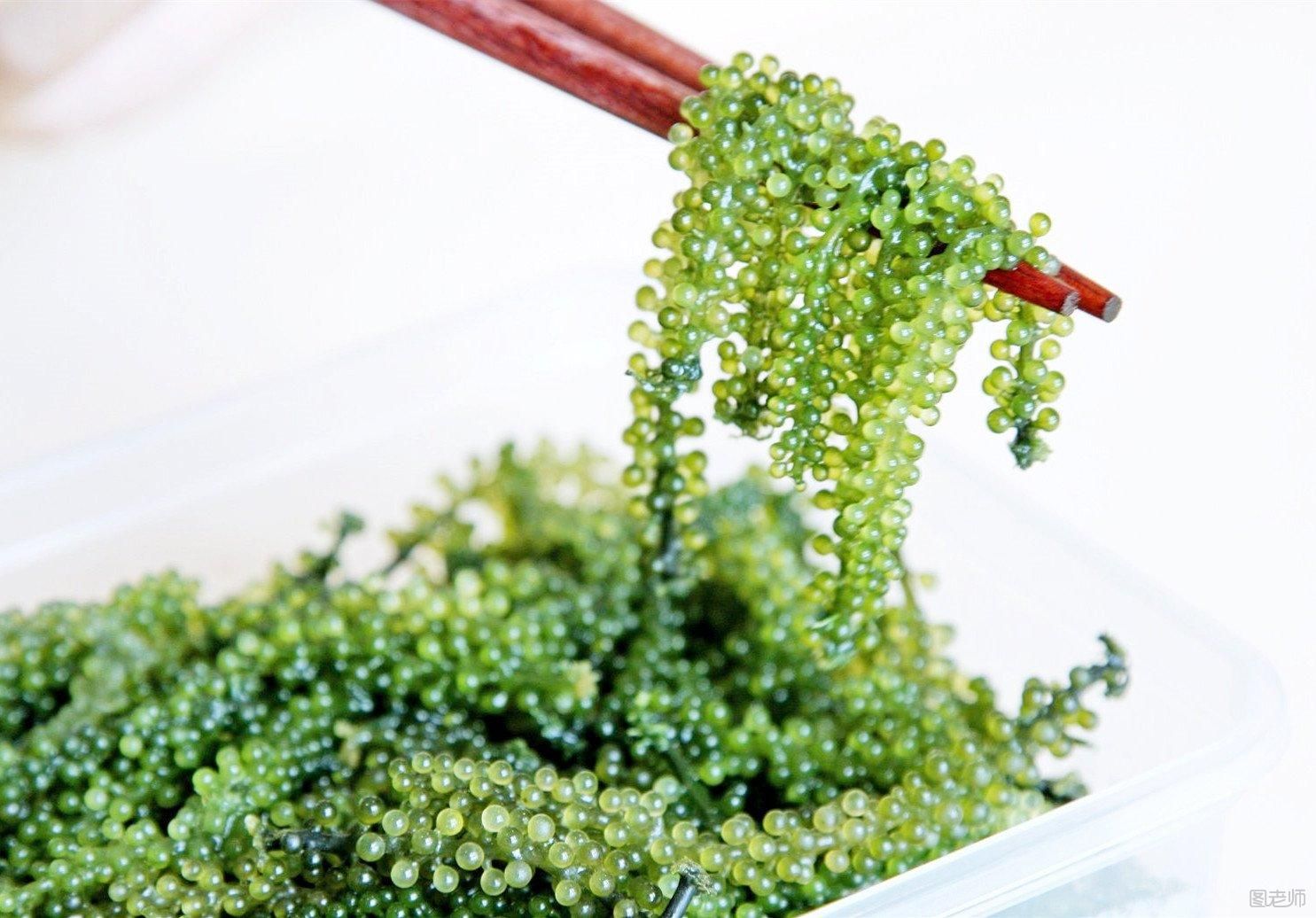 【图】海藻有哪些功效与作用,海藻吃了有什么