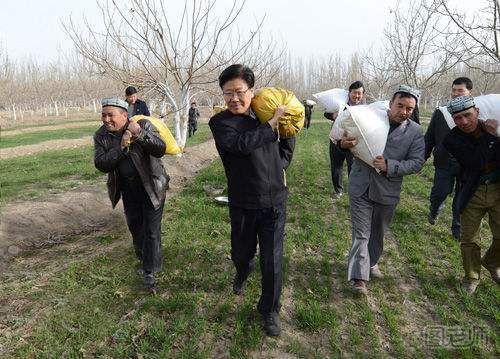 毛地黄的栽培方法 毛地黄栽培要点