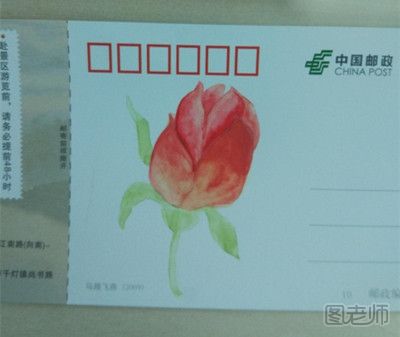 花骨朵手绘画教程图 手绘明信片教程