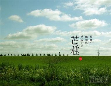 芒种有哪些传统习俗