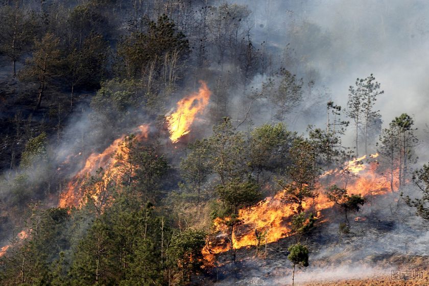 森林火灾是怎么引起的