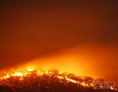 葡森林火灾死亡人数升至62人