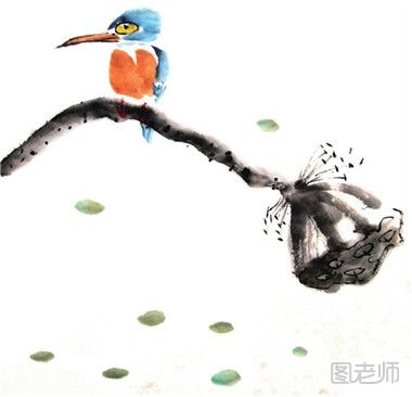 如何绘制一副水墨画作品 水墨翠鸟的绘画教程