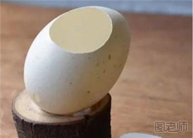 蛋壳里的微景观世界 鸡蛋壳微景观制作教程