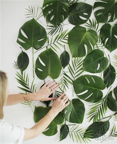 怎么制作绿植装饰墙 绿意盎然的绿植装饰墙