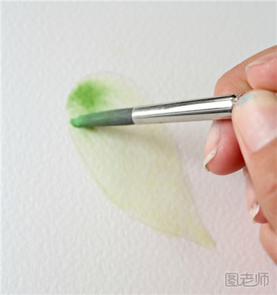 如何绘制清新淡雅的树叶 树叶绘画水彩教程