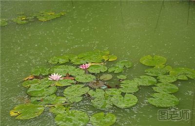 梅雨天要注意什么？梅雨天的注意事项