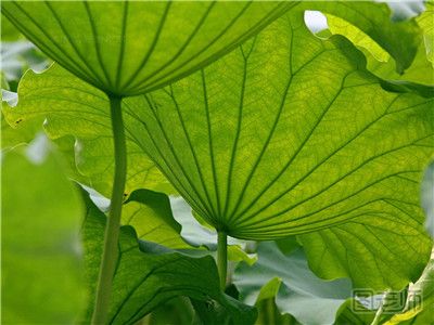 小暑时节做什么运动好？五种运动小暑时节最适宜