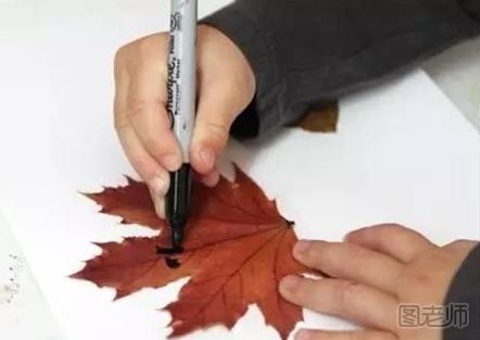 树叶书签手工制作 怎么做萌萌达的树叶书签