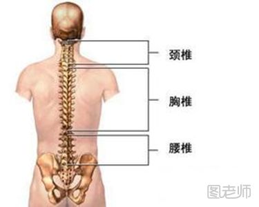 颈椎回正的保健操 脊椎疼痛怎么办