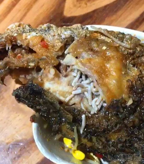 丹阳一饭店鱼头中吃出蛆 餐馆吃饭不卫生怎么办 丹阳一饭店鱼头中吃出蛆 餐馆吃饭不卫生怎么办