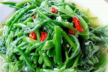 南瓜秧尖怎么吃 吃南瓜秧尖的好处有哪些 南瓜秧尖怎么吃 吃南瓜秧尖的好处有哪些