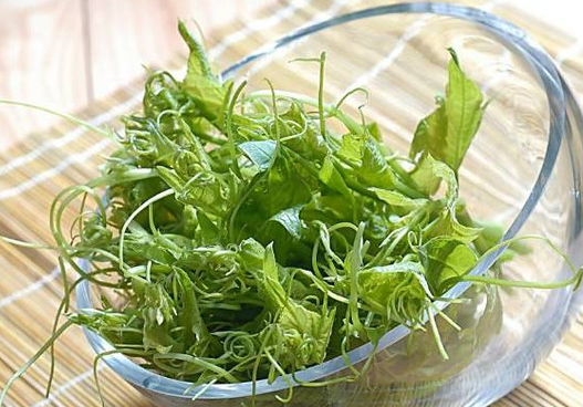 南瓜秧尖怎么吃 吃南瓜秧尖的好处有哪些 南瓜秧尖怎么吃 吃南瓜秧尖的好处有哪些