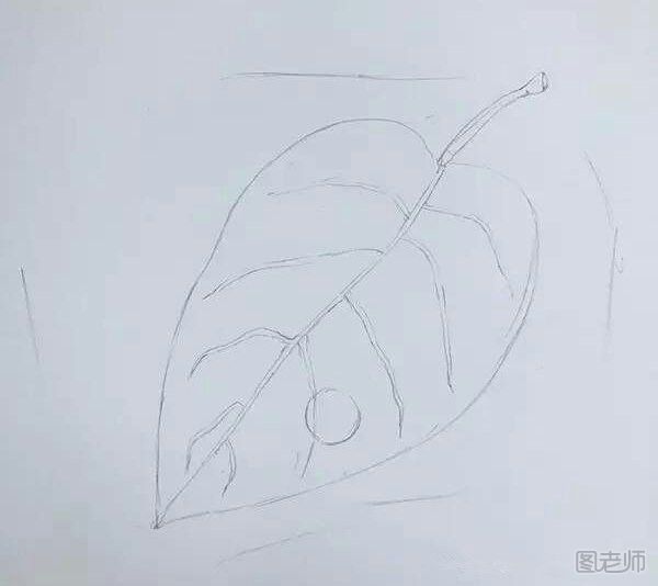 彩铅画教程 如何用彩铅画一片带水滴的树叶